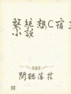 系统想C宿主的小说