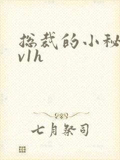 总裁的小秘书1v1h