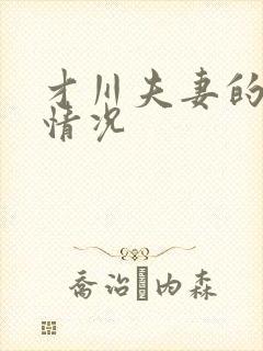 才川夫妻的恋爱情况