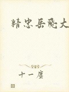 精忠岳飞大结局封面