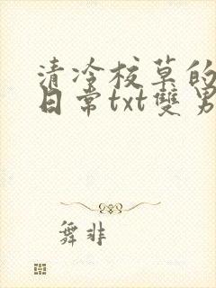 清冷校草的抹布日常txt双男主封面