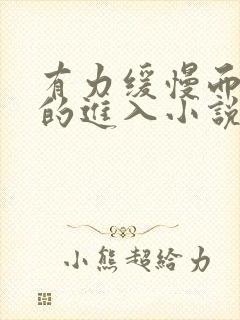 有力缓慢而坚定的进入小说