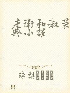 老卫和淑荣的经典小说