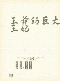 王爷的巨大进入王妃