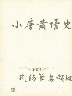小唐黄倩史