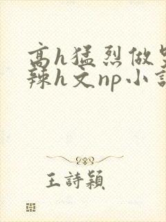 高h猛烈做哭高辣h文np小说