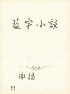 蓝宇小说