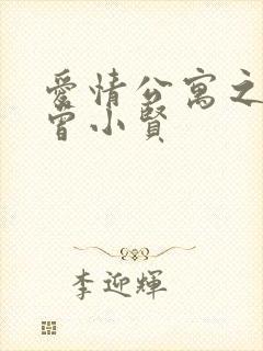 爱情公寓之极品曾小贤