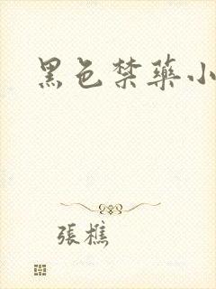 黑色禁药小说