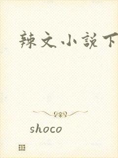 辣文小说下载