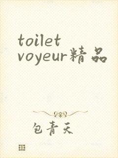 toilet voyeur精品