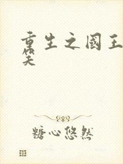 重生之国王的微笑