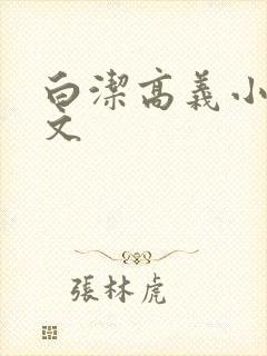 白洁高义小说全文