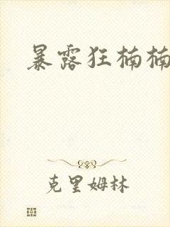 暴露狂楠楠封面