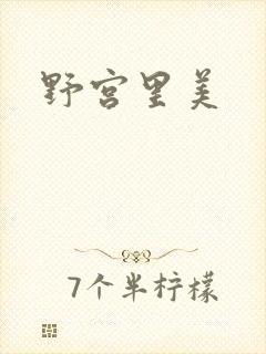 野宫里美封面