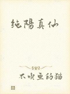 纯阳真仙