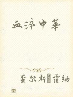 血淬中华封面