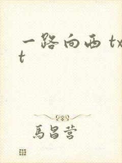 一路向西 txt封面