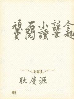 顽石小说全文免费阅读笔趣阁