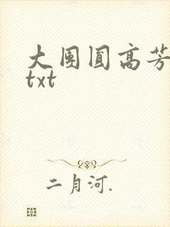 大团圆高芳小说txt