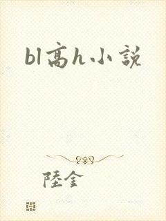 bl高h小说