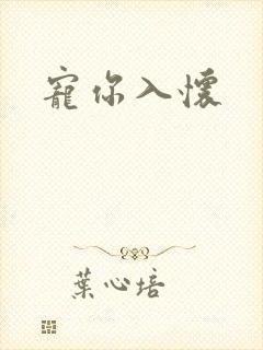 宠你入怀封面