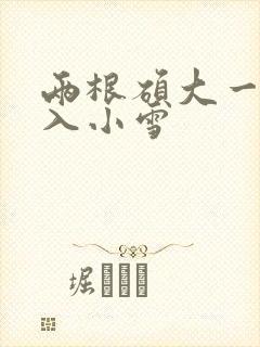 两根硕大一起挤入小雪