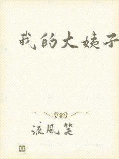 我的大姨子封面