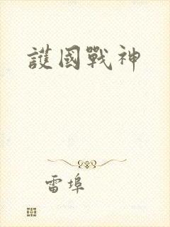护国战神
