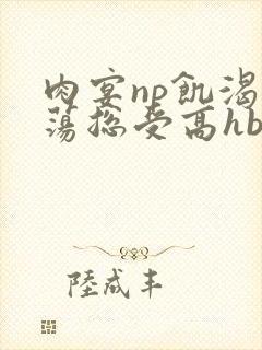 肉宴np饥渴放荡总受高hbl封面