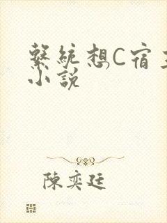 系统想C宿主的小说