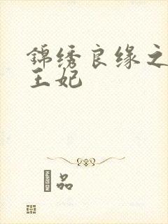 锦绣良缘之北地王妃封面