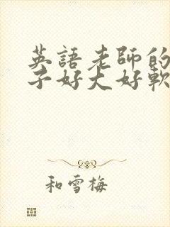 英语老师的小兔子好大好软水