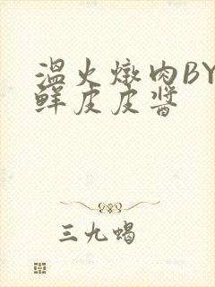 温火炖肉BY海鲜皮皮酱