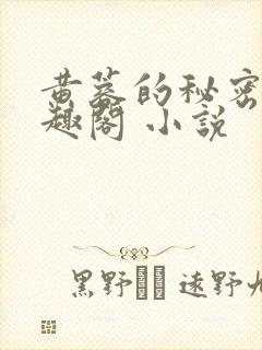 黄蓉的秘密 笔趣阁 小说