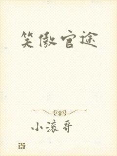 笑傲官途