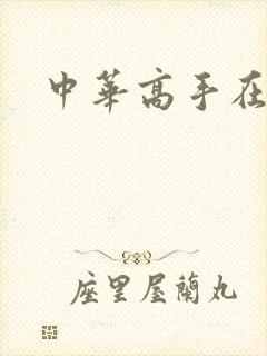 中华高手在异世