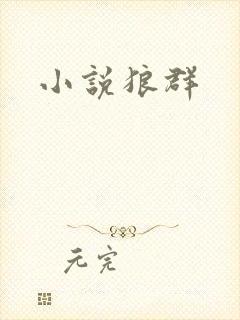 小说狼群