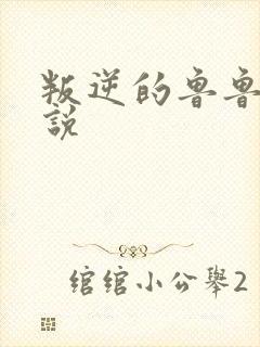 叛逆的鲁鲁修小说