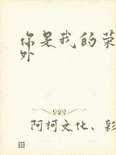 你是我的荣耀番外封面