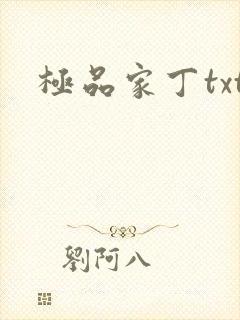 极品家丁txt封面