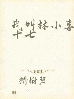 我叫林小喜今年十七