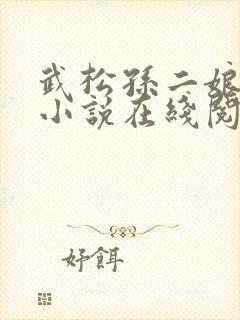 武松孙二娘云雨小说在线阅读封面