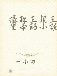 摄政王用玉髓整皇帝的小说