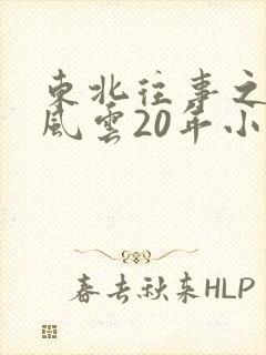 东北往事之黑道风云20年小说封面