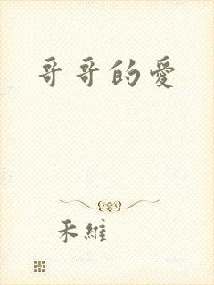 哥哥的爱