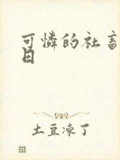 可怜的社畜东度日