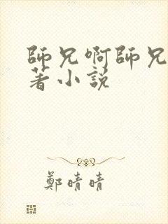 师兄啊师兄的原著小说封面