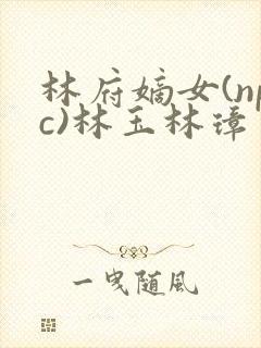 林府嫡女(npc)林玉林璋