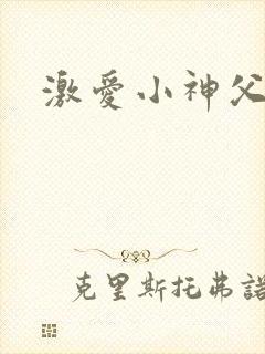 激爱小神父